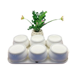 Acar 06160 Nora Collectıon1 6 Lı Tepsılı Kahvaltılık Setı - ACAR