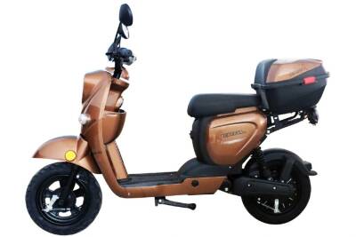 Zzz - Kral Kr-205 Alya Elektrıklı Scooter - 10